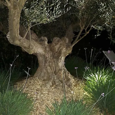 Holiday home Bastide Alexelia ,Golfe De Saint Tropez, Sauna Hammam *